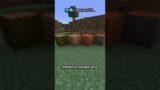 new wood type in minecraft