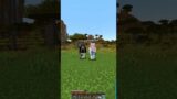 Minecraft meme