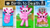 BIRTH To DEATH Of AXY In Minecraft!