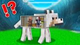 EPIC TSUNAMI vs Doomsday Bunker in DOG In Minecraft!