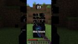 Guess the Minecraft block in 60 seconds 47