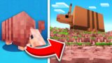 I Collected 1000 Armadillos in 1.21 Minecraft Hardcore!