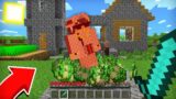 MEN MILLIONERNI NEGA O'LDIRDIM? | UZBEKCHA MINECRAFT