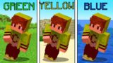 Minecraft But I Cant Tocuh Any Color!