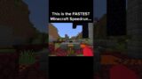 Minecraft Speedrun