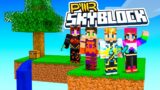 PWR Minecraft Skyblock!