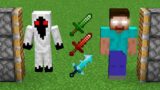 x999 swords and HEROBRINE and Entity303 combined in minecraft