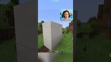 Minecraft Eye Scanner Door (Clementdav Vibe)