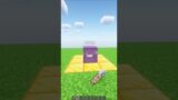 Minecraft Nametags #minecraft #shorts
