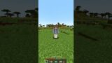 Minecraft chase