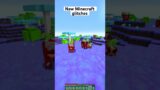 New Minecraft bugs