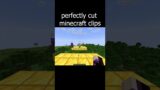 Perfectly Cut Minecraft Moments of 2024