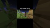 Minecraft Meme