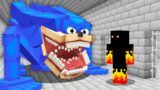 24h to Defeat Shin Sonic Tapes in Minecraft