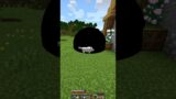 Black hole in Minecraft