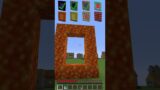 Fake Portals vs Reality in Minecraft #shorts #meme #memes