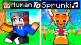 From HUMAN to SPRUNKI in Minecraft!