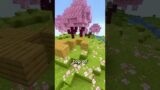 Never Go to the Cherry Blossom Biome in Minecraft! #shorts