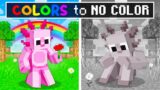 Our COLORS are GONE in Minecraft!