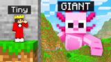 TINY vs GIANT Hide and Seek in Minecraft!