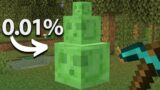 I Got Minecraft’s Rarest Mob