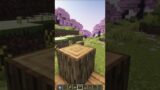 Minecraft Rabbit Trap #minecraft #shorts #minecraftshorts