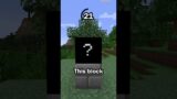 Guess the Minecraft block in 60 seconds 80