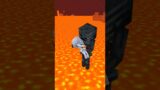 HELP Save baby skeleton Wither X Skelly Pillagers attack (Past Lives) – Minecraft Shorts