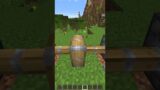 I Fused Items Together in Minecraft…