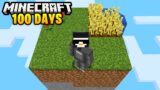 I Survived 100 Days on ONE CHUNK in Minecraft