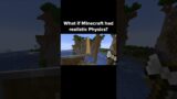 Minecraft Physics Moment