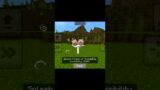 Minecraft TikTok Hacks #minecraft #shorts