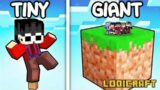 One GIANT Block vs One TINY Block in Minecraft!