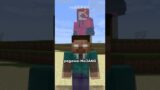 Hal Yang Di Sembunyikan Mojang Kepada Player Minecraft