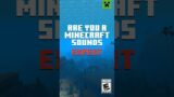 MINECRAFT SOUND QUIZ