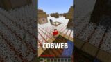 Minecraft But The World Is Cobweb #minecraft #shorts #funny