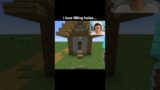 Minecraft Hole Filler Moment