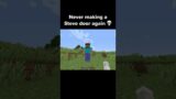 Minecraft Steve Moment #shorts