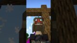 Minecraft Zombie Moment