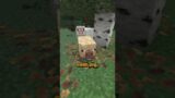 NEW MINECRAFT UPDATE!!!!!!! PIGS!!!!!! – Minecraft Snapshot 25w02a