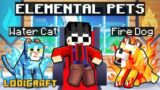 Turning my Pets ELEMENTAL in Minecraft!